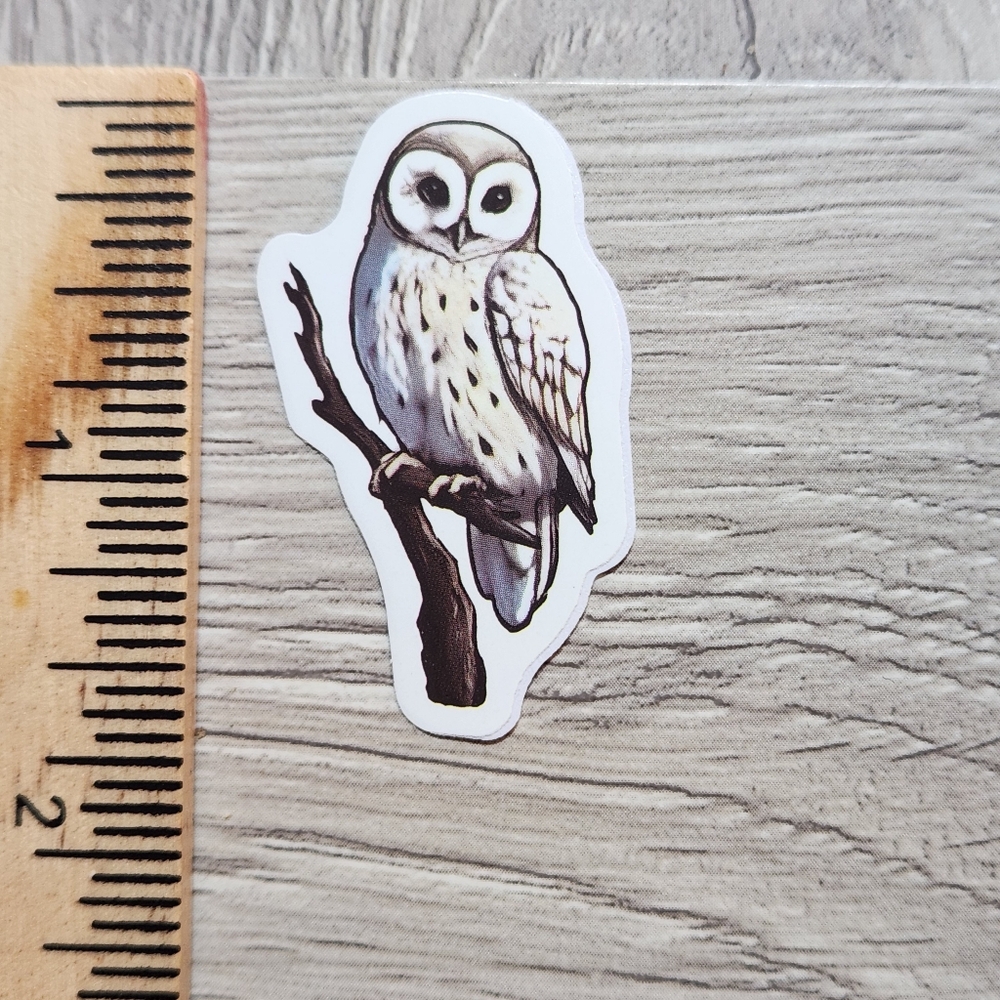 10/$10 Owl Sticker Bird Hoot Owlet Colorful Cartoon
